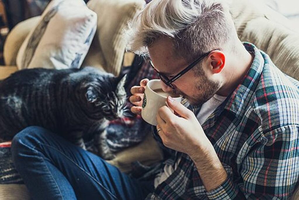 Precisely what is Caffeine and How Does it Have an impact on Our Ability to Have an Excellent Night's Sleep? 1 What is Caffeine