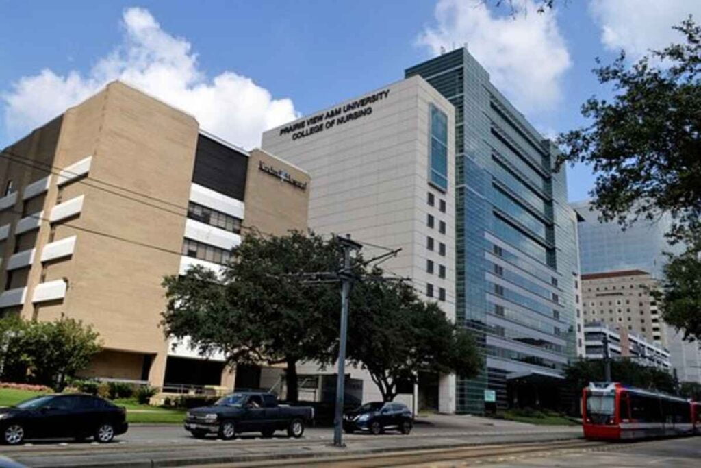 top medical schools
