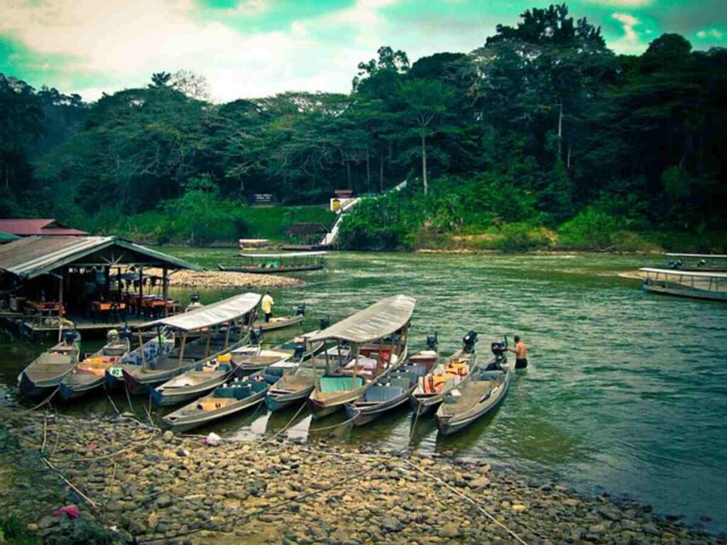 Best Excursions in the Tropical Rain Forest 1 rainforest trips