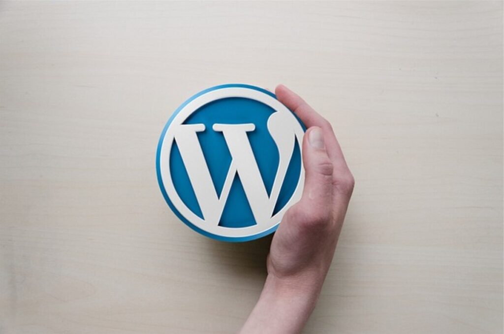 10 Best WordPress Development Agencies In India 1 best WordPress development agency in India