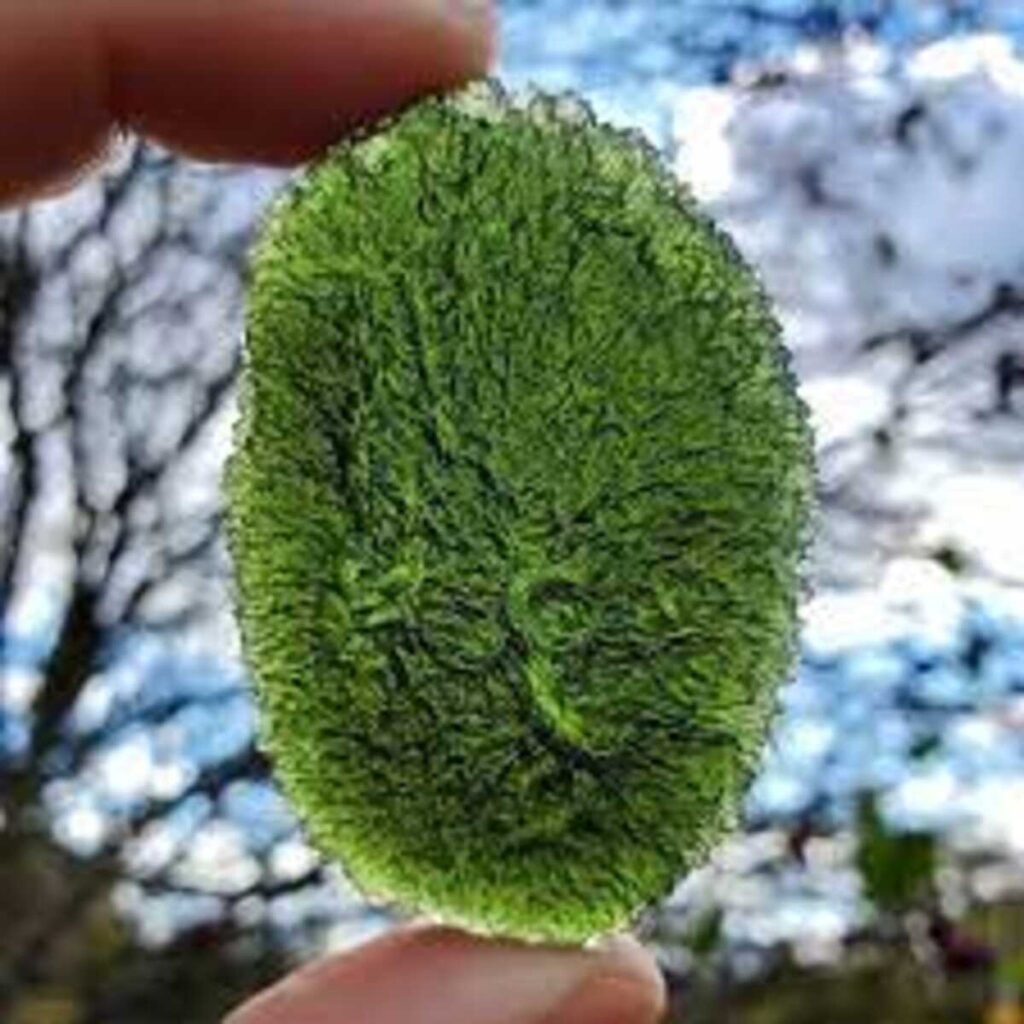 Information about Where to Buy Moldicide 1 buy moldavite