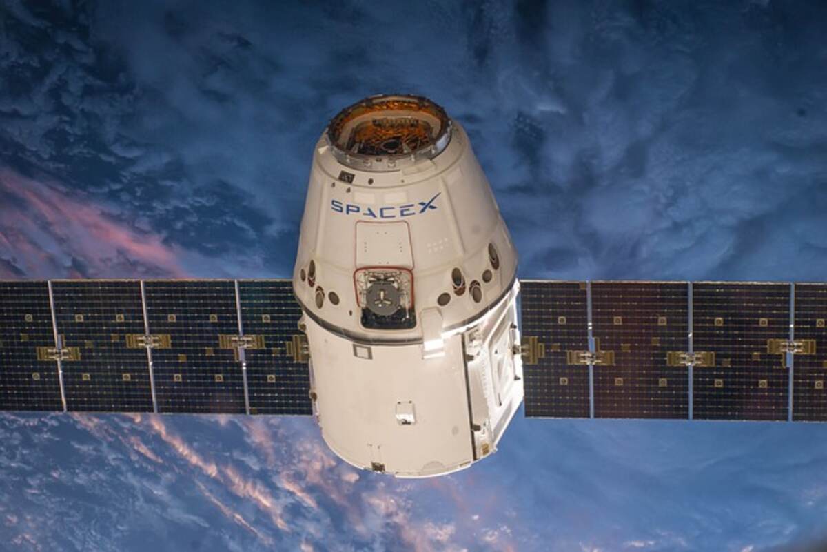 elon musk biography