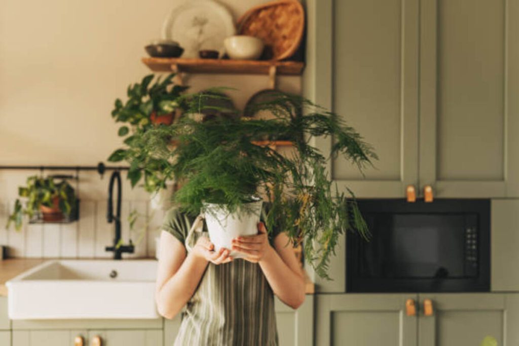 Face Planter