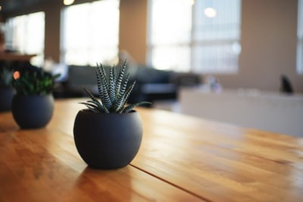 commercial office renovation