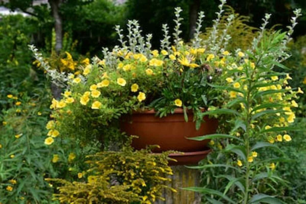 Power Planter: Cultivating Excellence in Gardening 5 An image of a Power Planter in action, making planting easy and efficient.