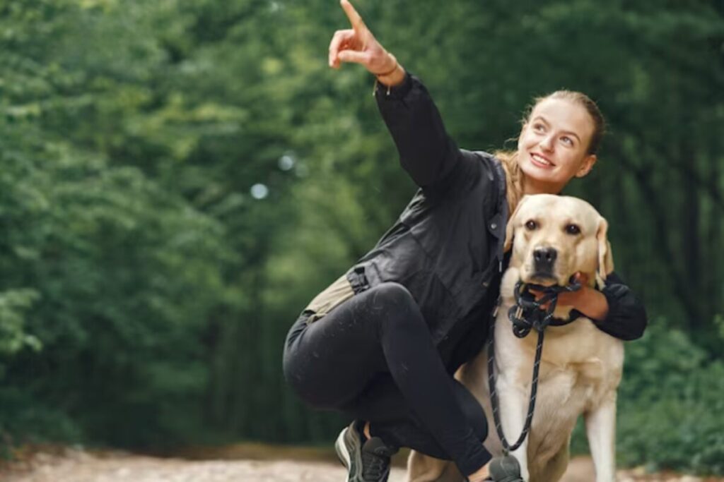 Choosing a Small Dog Harness 1 designer pet products