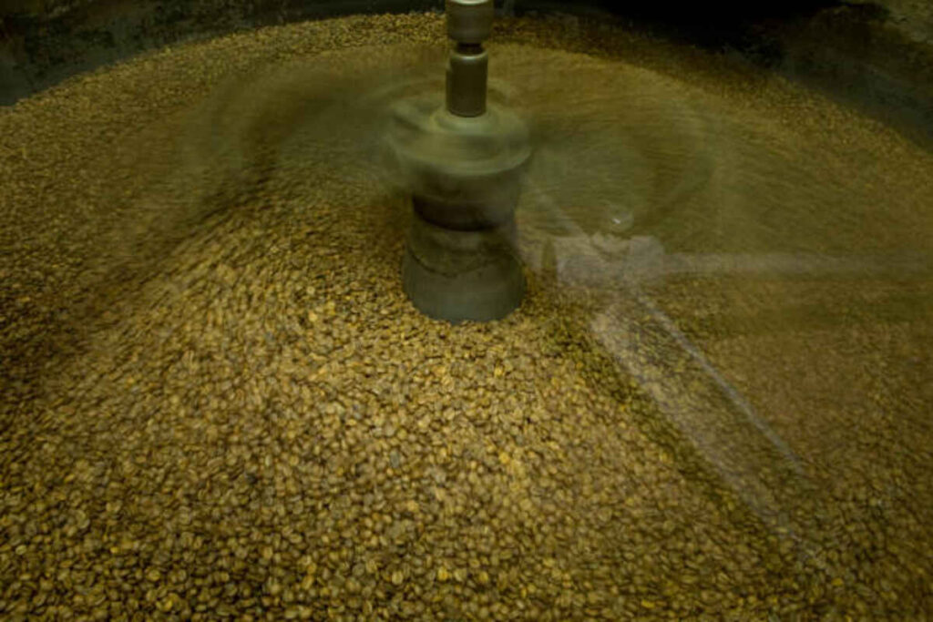 Dal Mill Machines: Transforming the Pulse Processing Industry 1 Dal Mill Machines