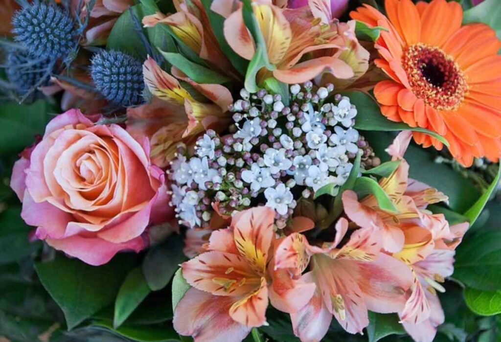 Local Florists Near Me 1 Florists in Shrewsbury