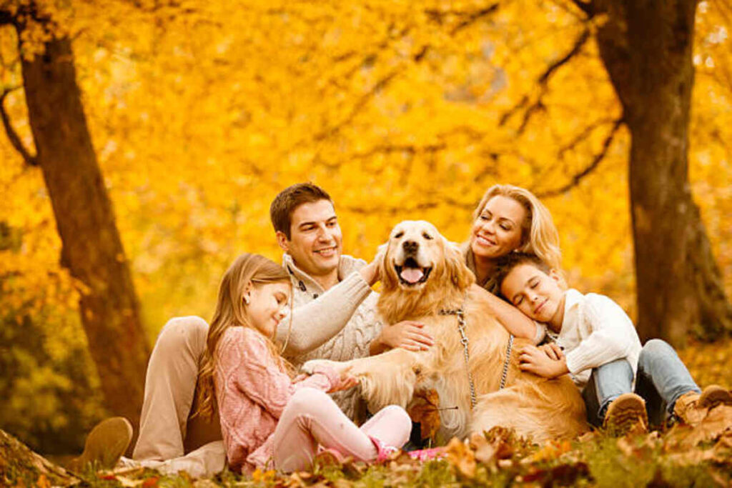 Great things about Using a Dog Slip Prospect 1 Great things about Using a Dog Slip Prospect