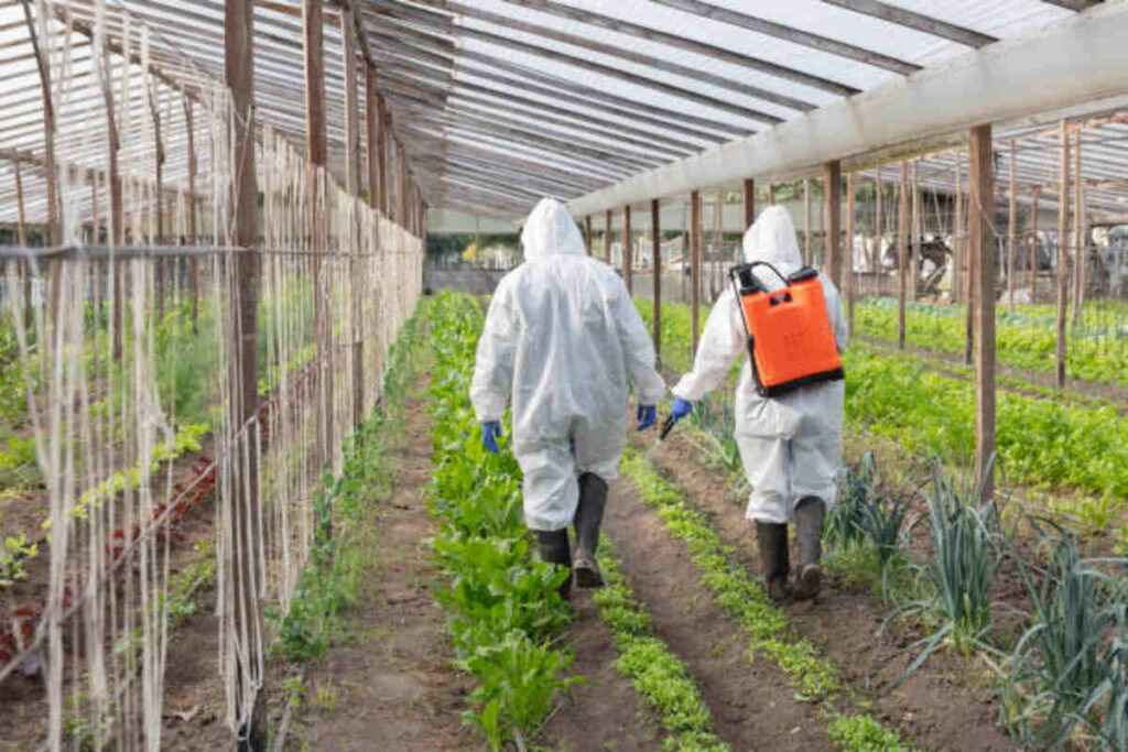 Maximizing Crop Yields with Biochar Applications 1 Maximizing Crop Yields with Biochar Applications