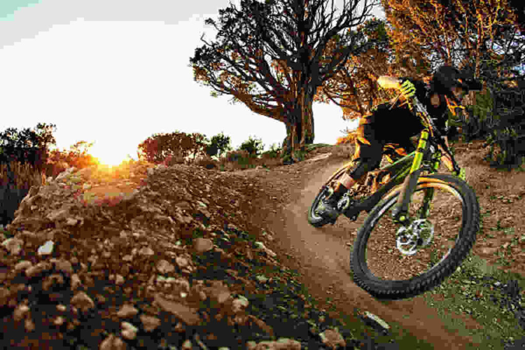 Essential Tips for Organizing Your Mountain Bike Garage 1 Gare di Mountain Bike